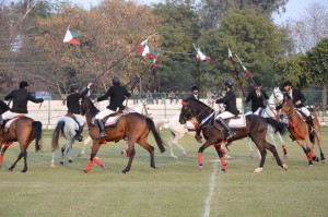 Aligarh Muslim University arranged a special Horse Show for the visiting NAAC team