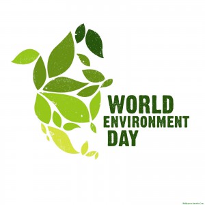AMU students’ body observed World Environment Day, plants saplings