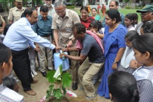 Plantation drive launched in AMU